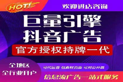 信息流广告的精准定位与效果优化案例分析